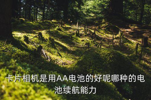 贛通卡機(jī)身用什么電池，UPS普遍使用的電池是什么電池