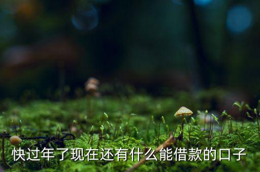 快過(guò)年了現(xiàn)在還有什么能借款的口子