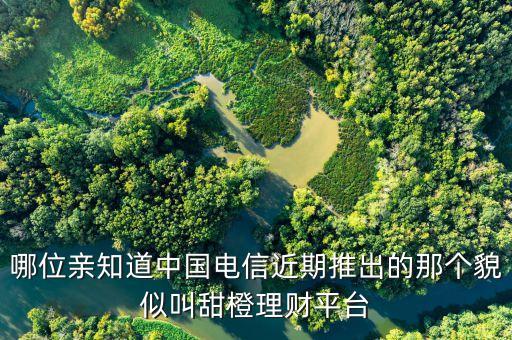 甜橙理財(cái)是什么公司推出的，翼支付甜橙理財(cái)基金是啥