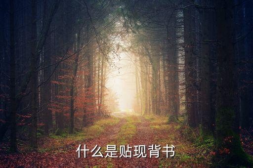 貼現(xiàn)背書是什么意思，貼現(xiàn)是什么意思