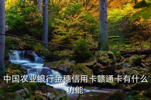 中國(guó)農(nóng)業(yè)銀行金穗信用卡贛通卡有什么功能