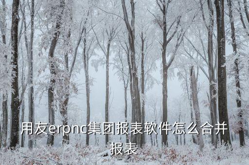 用友erpnc集團報表軟件怎么合并報表