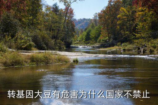 為什么說(shuō)轉(zhuǎn)基因大豆會(huì)致癌，轉(zhuǎn)基因大豆有危害為什么國(guó)家不禁止