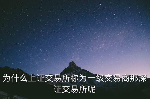 為什么上證交易所稱為一級交易商那深證交易所呢