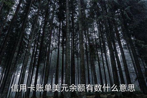 銀行存款的明細(xì)是美元是什么意思，銀行存單上美元符號(hào)是什么