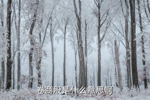 卷商股是什么意思啊