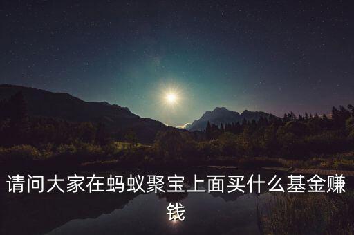 請(qǐng)問大家在螞蟻聚寶上面買什么基金賺錢
