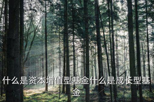 成長性資產(chǎn)是什么，什么是成長性股票