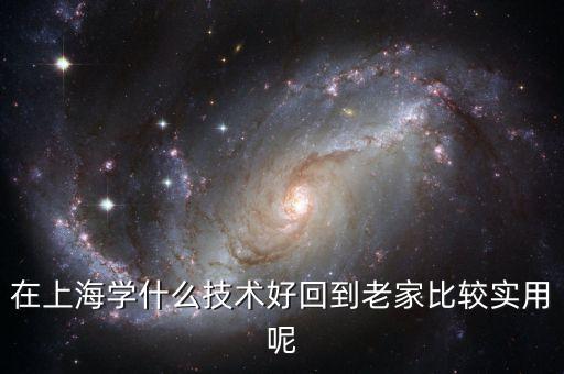 在上海學(xué)什么技術(shù)好回到老家比較實(shí)用呢