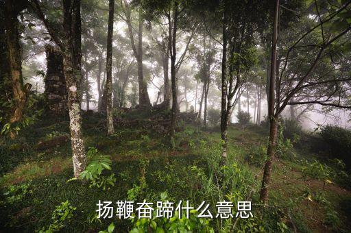 揚(yáng)鞭奮蹄什么意思