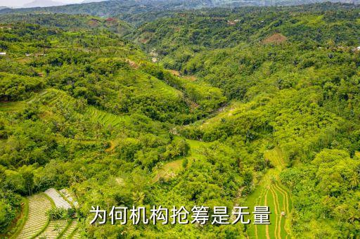 機構(gòu)搶籌什么意思，股市中機構(gòu)搶籌是好事還是壞事