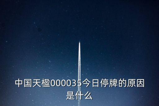 天宸為什么停牌，中國(guó)天楹000035今日停牌的原因是什么