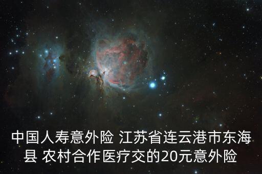 國壽瑞鑫二十元意外險指什么，中國人壽意外險 江蘇省連云港市東?？h 農(nóng)村合作醫(yī)療交的20元意外險