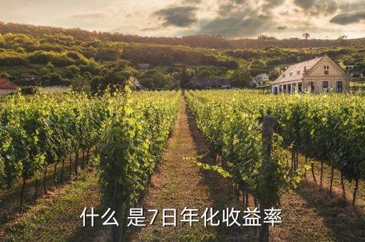 近7日年化是什么意思，什么 是7日年化收益率