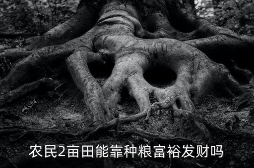 農(nóng)民2畝田能靠種糧富裕發(fā)財嗎