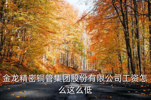 金龍精密銅管集團股份有限公司工資怎么這么低