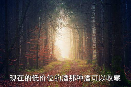 現(xiàn)在的低價(jià)位的酒那種酒可以收藏