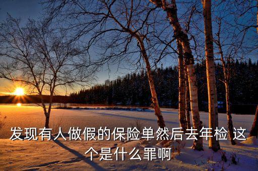 什么是做假保單，發(fā)現有人做假的保險單然后去年檢 這個是什么罪啊