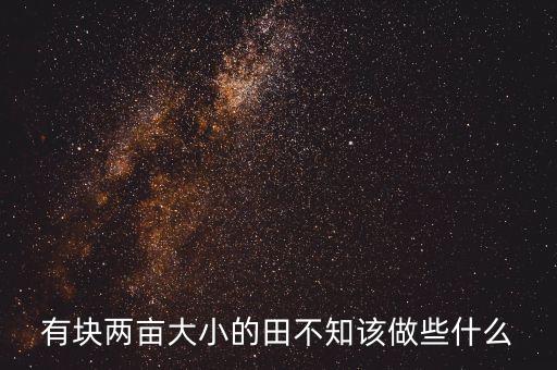 有塊兩畝大小的田不知該做些什么