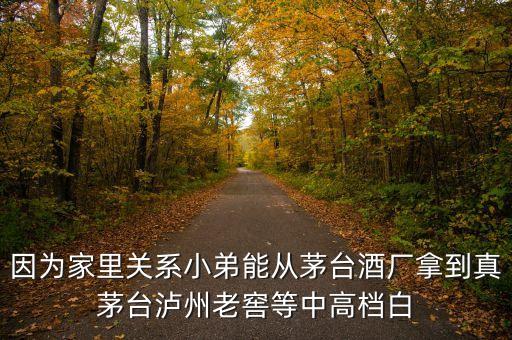因?yàn)榧依镪P(guān)系小弟能從茅臺酒廠拿到真茅臺瀘州老窖等中高檔白