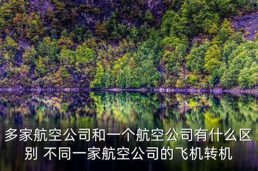 多家航空公司什么意思，同一架飛機(jī)有2家公司運(yùn)營(yíng)嗎我和我哥買的同一家飛機(jī)為什么是不