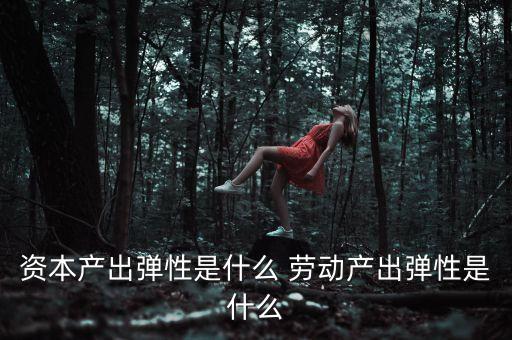 資本產(chǎn)出彈性是什么 勞動產(chǎn)出彈性是什么