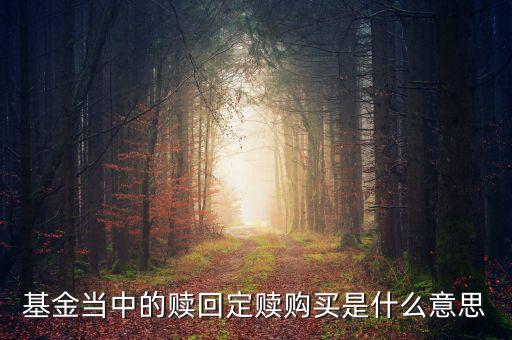 基金當(dāng)中的贖回定贖購(gòu)買是什么意思