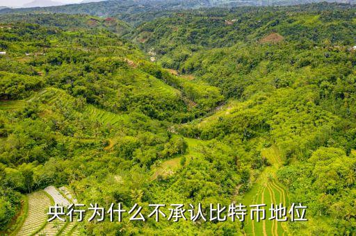 為什么中央不承認(rèn)比特，中美為什么不承認(rèn)比特幣的合法性