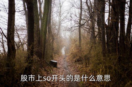 so股票什么意思，股市上so開頭的是什么意思