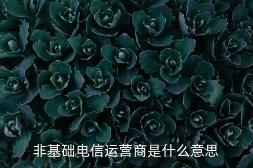 什么是基礎(chǔ)電信運(yùn)營商，請(qǐng)問基礎(chǔ)電信企業(yè)是不是就是指幾大電信運(yùn)營商啊不勝感激
