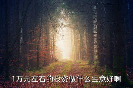 萬投資什么好，有10000元錢拿來做什么最好或者投資什么最好