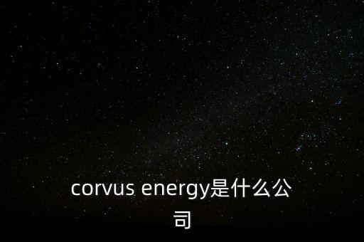 智慧松德是什么公司，corvus energy是什么公司