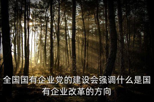 全國國有企業(yè)黨的建設(shè)會(huì)強(qiáng)調(diào)什么是國有企業(yè)改革的方向