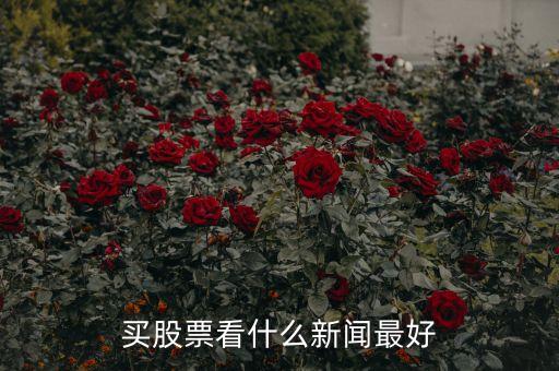 炒股看什么看什么財經(jīng)，有什么比較好的推薦股票的財經(jīng)節(jié)目