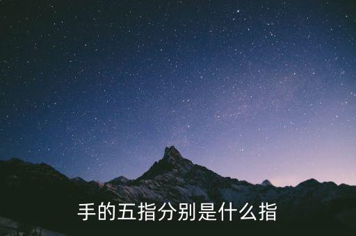 五指最后小指是什么指，五指 怎么分別