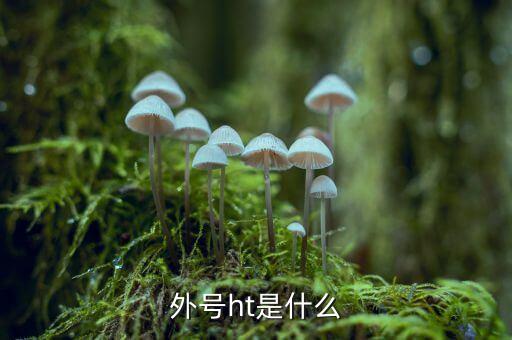買受人號(hào)碼ht是什么，備案合同中買受人號(hào)碼HT