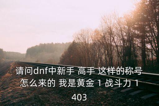 請(qǐng)問dnf中新手 高手 這樣的稱號(hào)怎么來的 我是黃金 1 戰(zhàn)斗力 1403