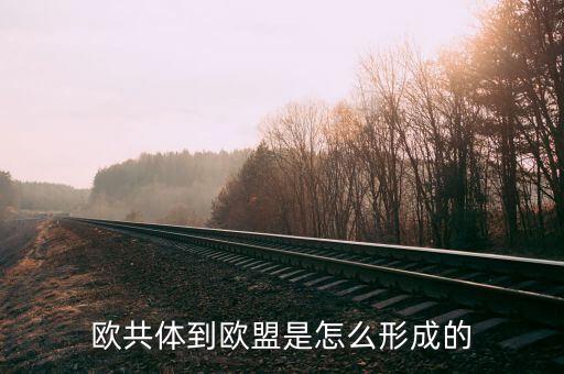 德國為什么加入歐盟，為什么有些國家像法國德國不愿意加入歐盟明明是對他們有利的  搜