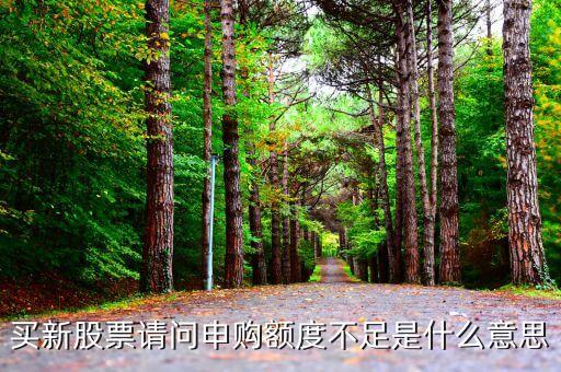 買(mǎi)新股票請(qǐng)問(wèn)申購(gòu)額度不足是什么意思