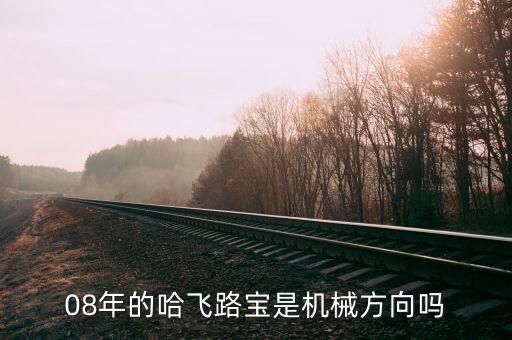 哈飛集團(tuán)用什么專業(yè)，08年的哈飛路寶是機(jī)械方向嗎