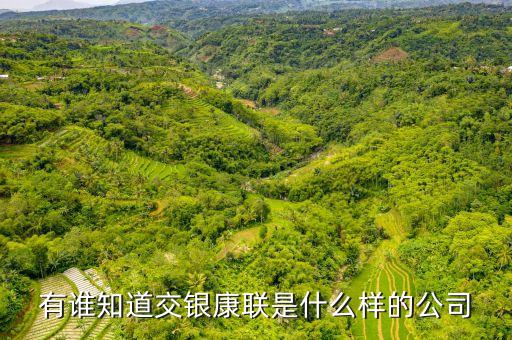 交銀康聯(lián)是什么公司，有誰知道交銀康聯(lián)是什么樣的公司