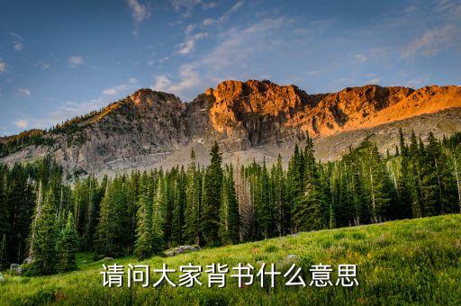 弱背書是什么意思，現(xiàn)在背書是什么意思是能背不能默還是