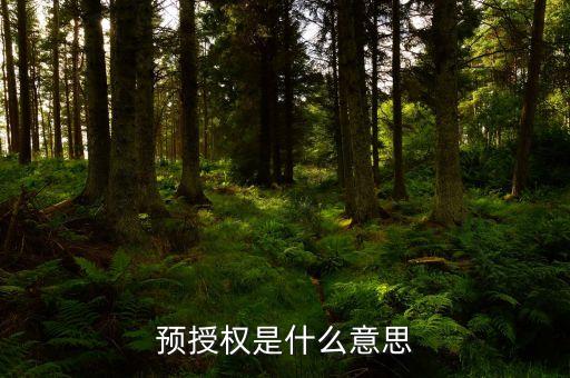 預授權是什么意思