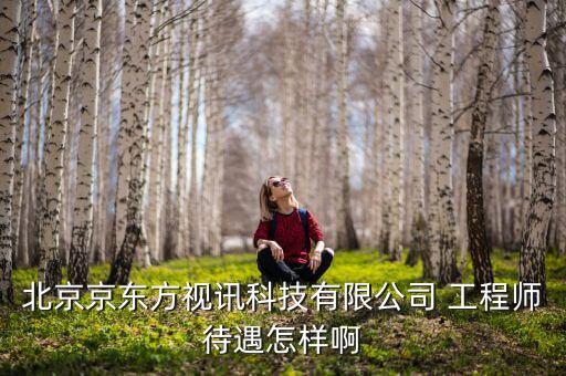 京東方視迅是什么公司，北京京東方視訊科技有限公司 工程師待遇怎樣啊