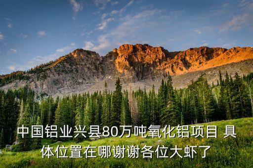 中鋁蔡安輝什么級別，中國鋁業(yè)興縣80萬噸氧化鋁項目 具體位置在哪謝謝各位大蝦了