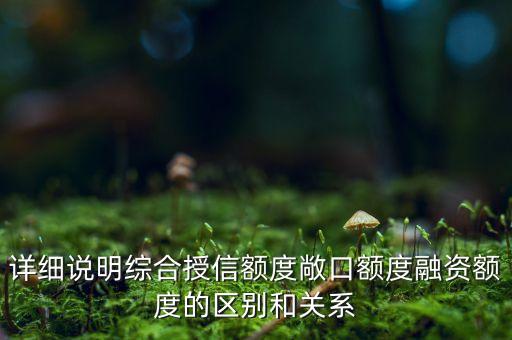 詳細說明綜合授信額度敞口額度融資額度的區(qū)別和關(guān)系