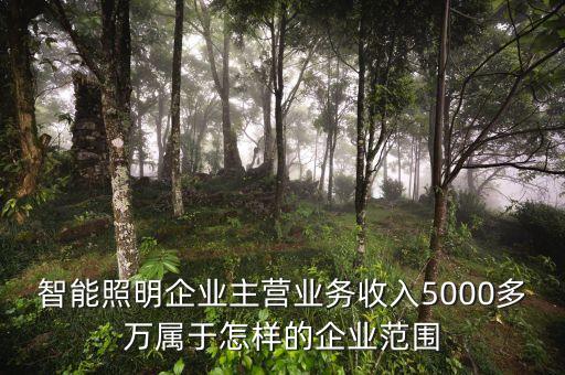 溫州宏豐主營什么，請問凈利率的公式計(jì)算是凈利潤主營業(yè)務(wù) 還是主營業(yè)務(wù)還加其他也