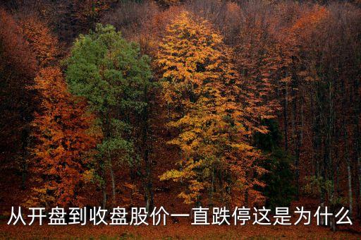 為什么開(kāi)盤(pán)就跌停，從開(kāi)盤(pán)到收盤(pán)股價(jià)一直跌停這是為什么