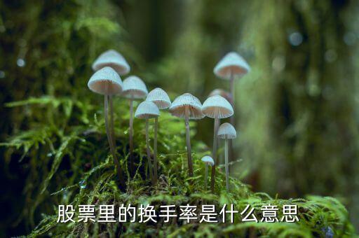 股票中換手率什么意思，股票里面的換手率是什么意思