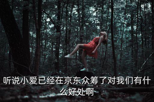 京東jimi機(jī)器人有什么作用，jimi 是什么意思